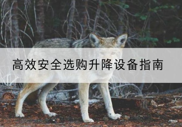拉孜升降货梯厂家推荐-*安全选购升降设备指南