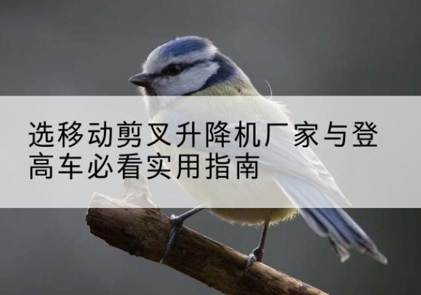 拉孜电动升降机厂家-选移动剪叉升降机厂家与登高车必看实用指南